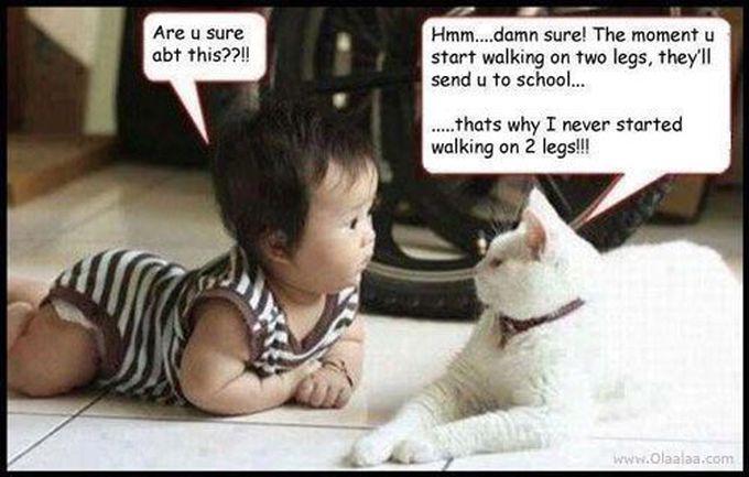 School life