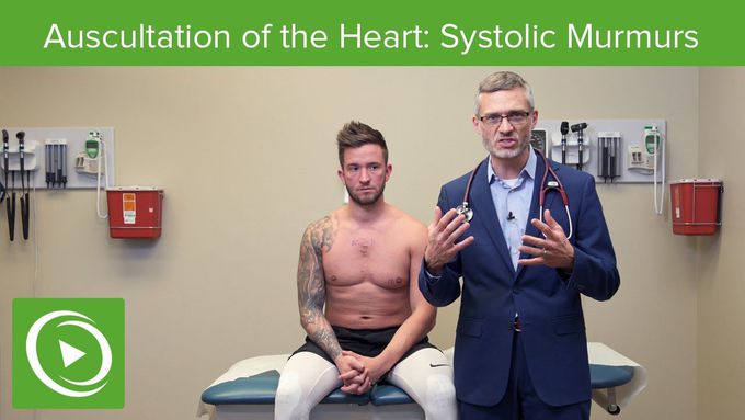 Auscultation of the Heart | Systolic Murmurs