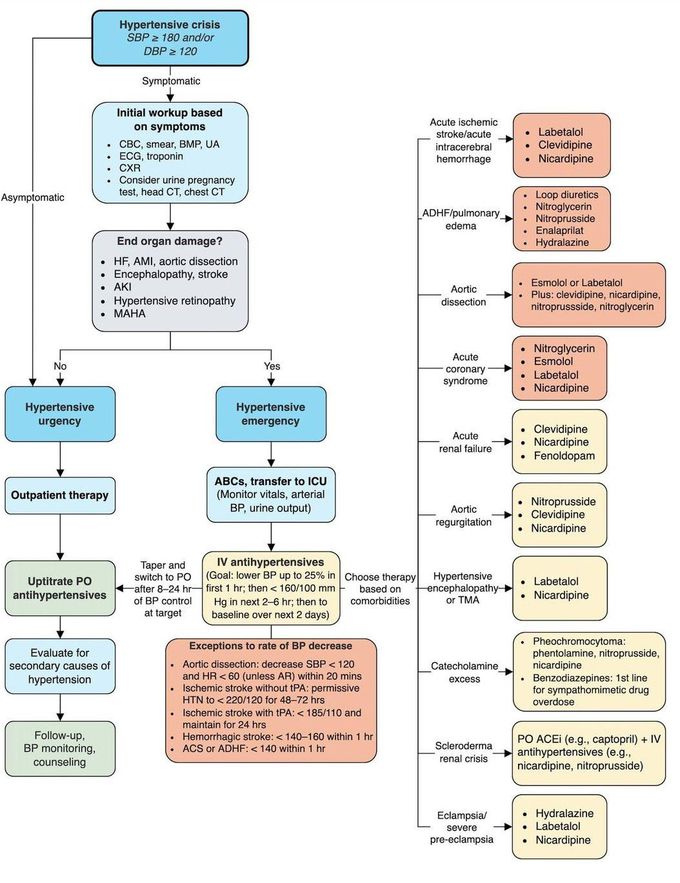 Hypertensive Urgency Vs Emergency