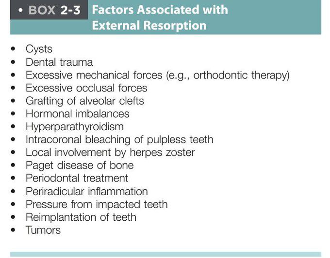 External resorption