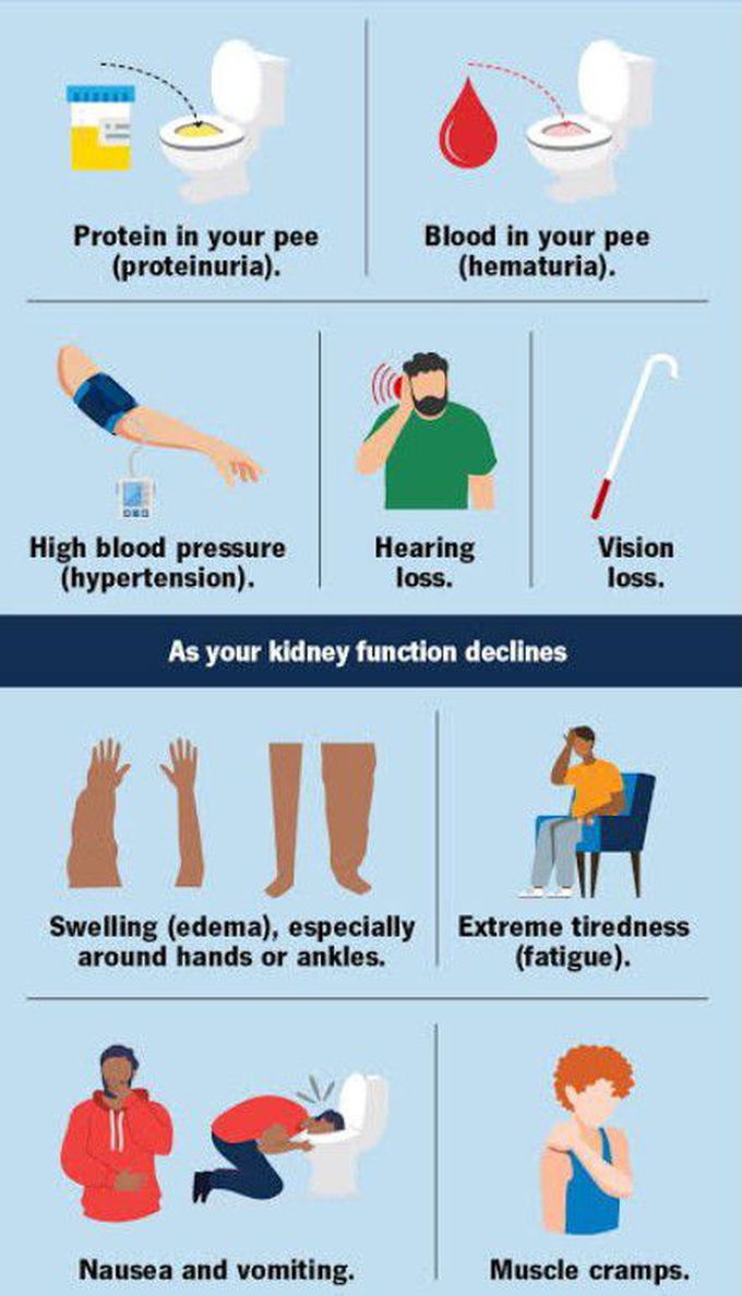 Alport syndrome