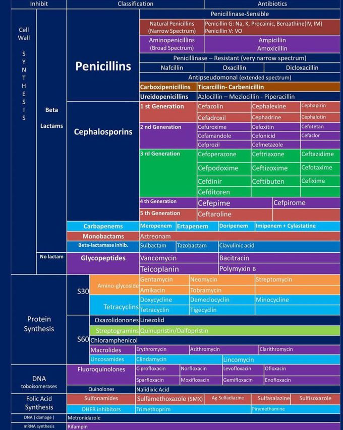 Antibiotics