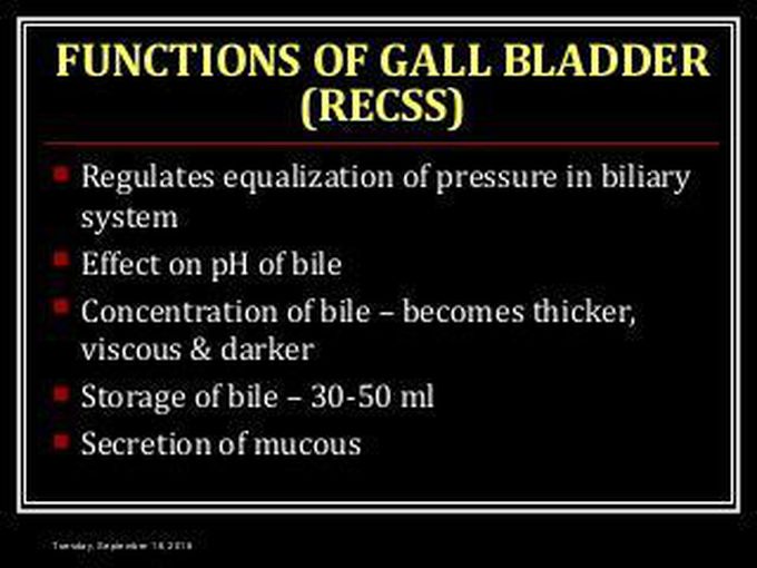 Functions of Gall bladder