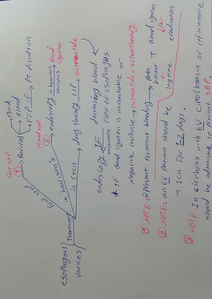 Esophageal varices(EV)