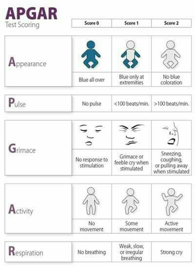 APGAR Score