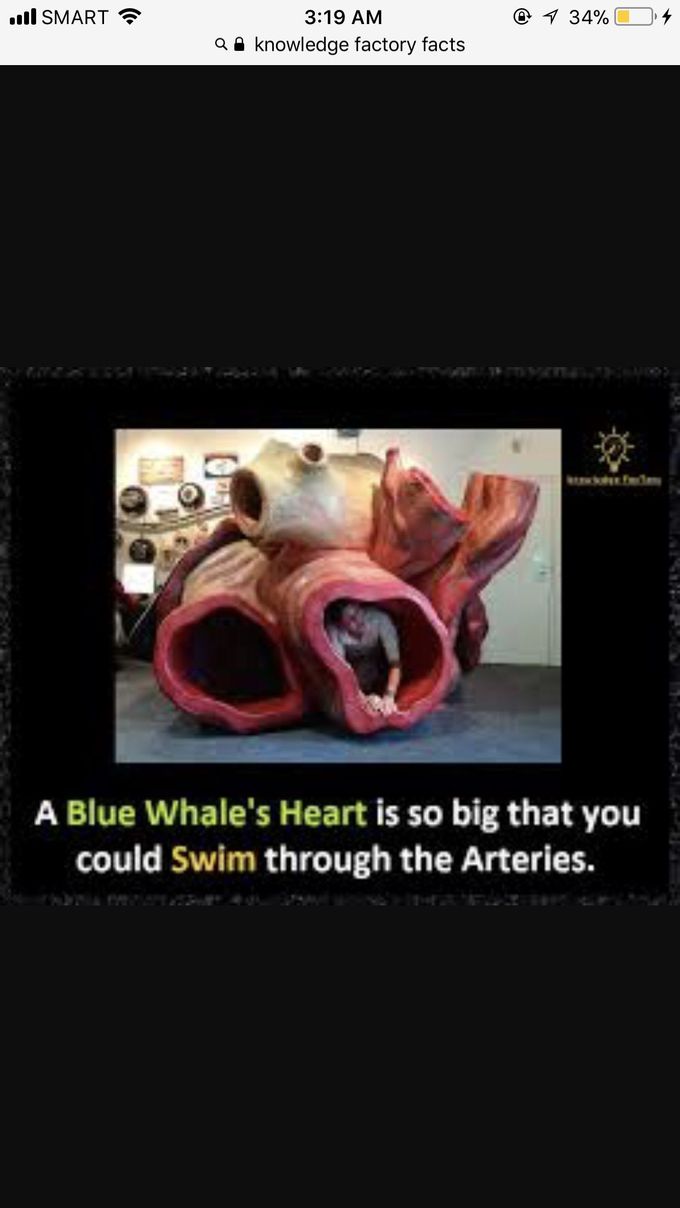 😳😳😳