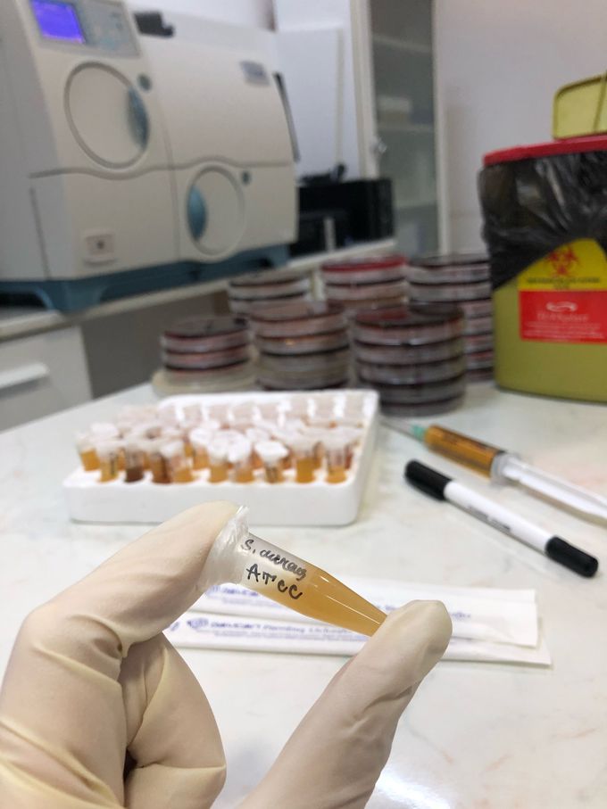 I stock Staphylococcus aureus, Enterococcus faecalis, Escherichia coli and Pseudomonas aeruginosa ATCC stammers🏥👩🏻‍⚕️👩🏻‍🔬🔬🧫🧪🦠🧬