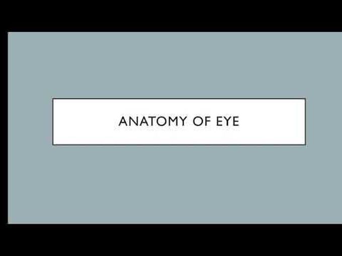 Anatomy of eye 👀