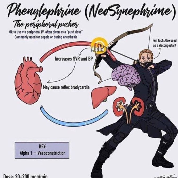 Phenylephrine