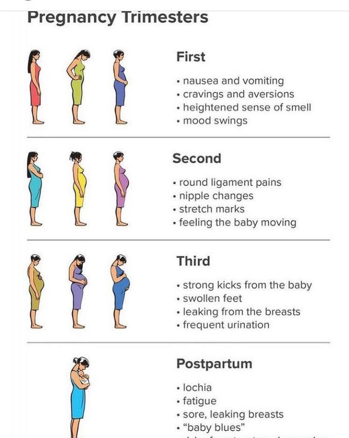 Physiological changes during different Pregnancy trimesters