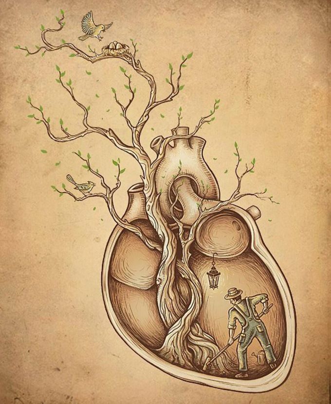 When the heart pumps the nature
