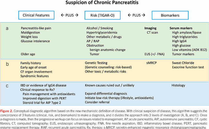 Chronic pancreatitis investigation