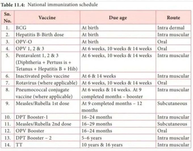 National Immunization Schedule - MEDizzy