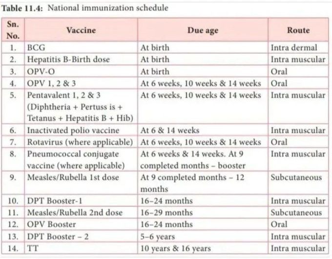 Immunization Schedule 2024 Philippines Kathy Maurita