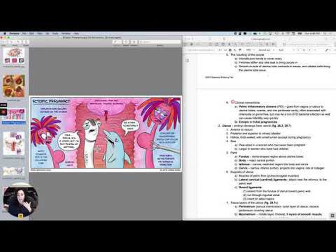 The Uterine Tubes