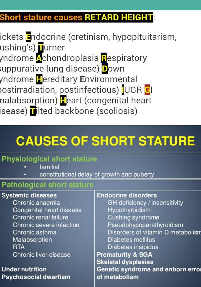 Short statue mnemonics