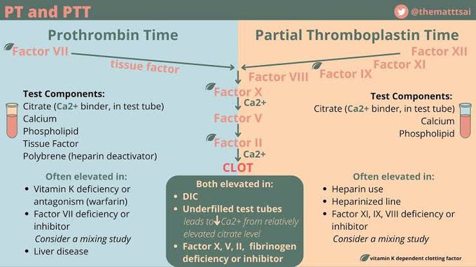 Coagulation Test