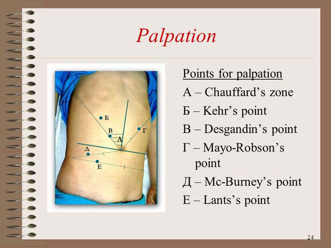 Points of palpation