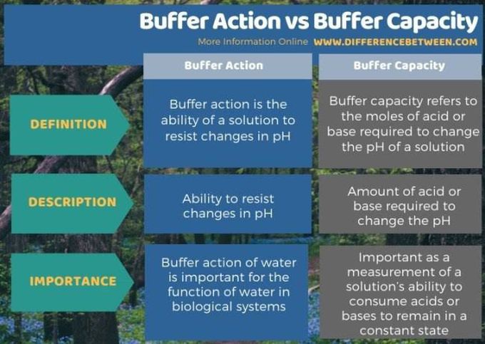 Buffer Action and Buffer Capacity