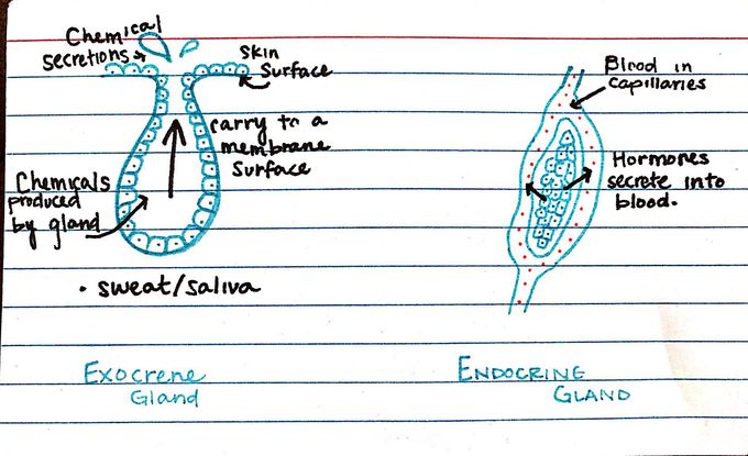 Notes