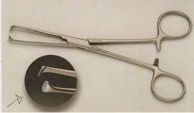 What is the name of this surgical instrument? 

A. Allis tissue forceps 
B. Towel clamp
C. Kocher's forceps 
D. Needle holder