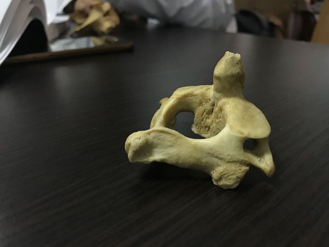 What is this?