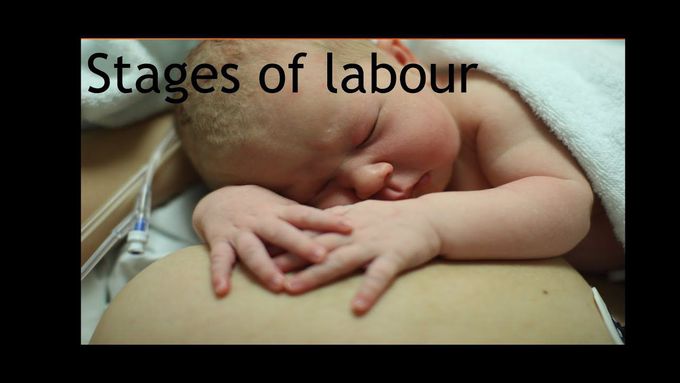 Flashcard- Stages of labour