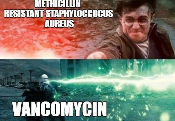 How I feel hearing medicine and bacteria. Harry potter vibes 😂😂