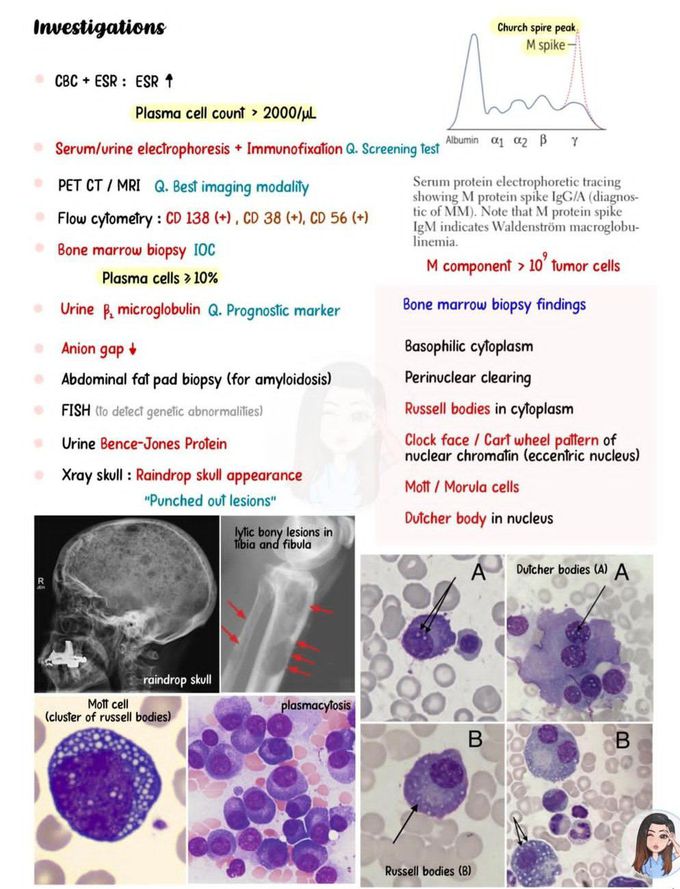 Multiple Myeloma III