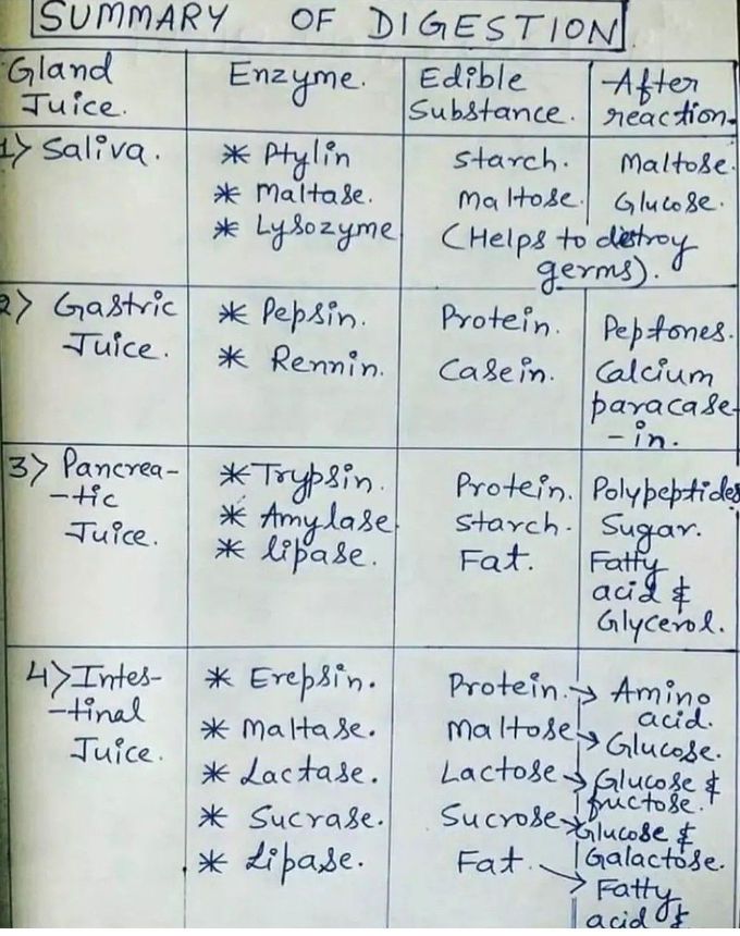 Summary of Digestion