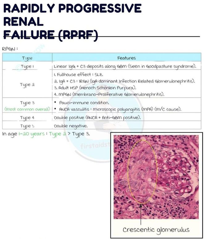 Rapidly Progressive Renal Failure