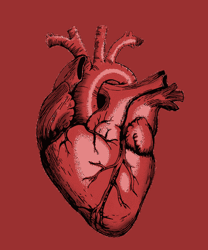 HEART SOUNDS: S1, S2, S3, S4 and Heart Murmurs by NJE - Nursing Jobs Exam