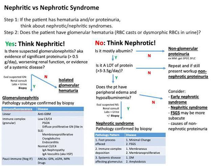 Management of nephritic and nephrotic Syndrome