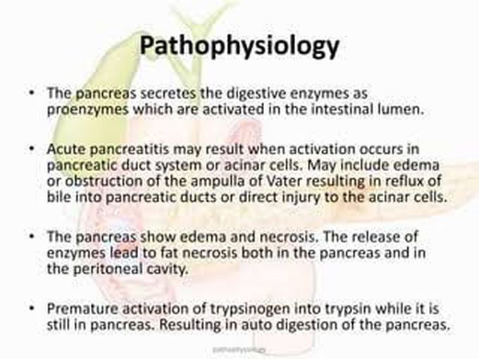 Acute Pancreatitis - Pathophysiology