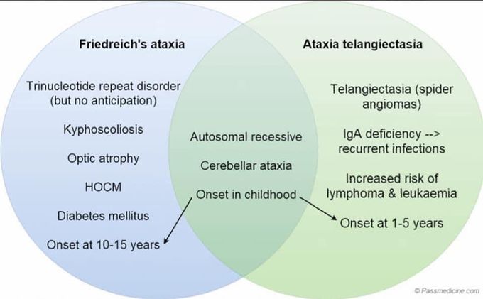 Fredreich's Ataxia Vs Ataxia Telangiectasia