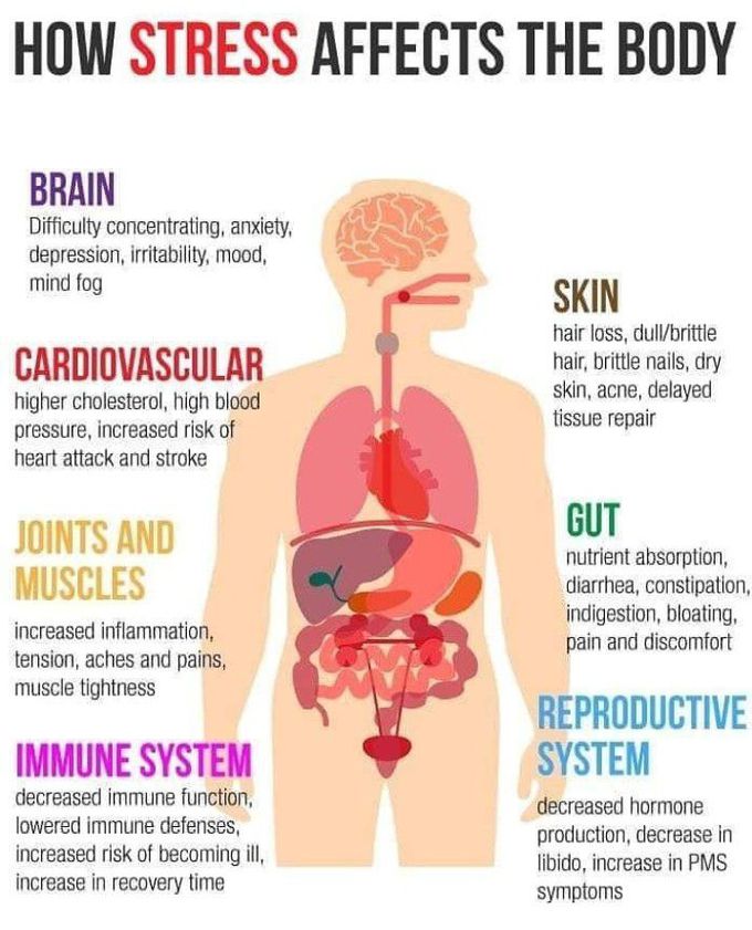 A look on how stress affects your body
