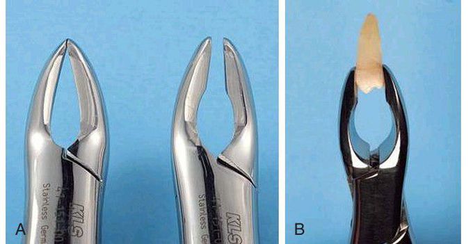 No 151A forceps