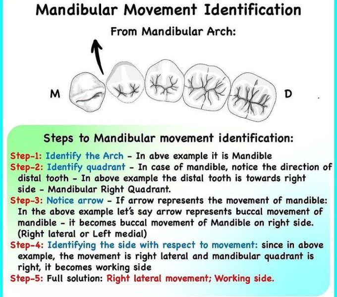 Identification of mandibular movement