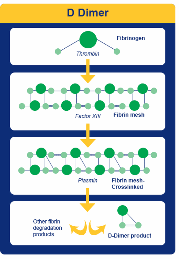 D-dimer Test