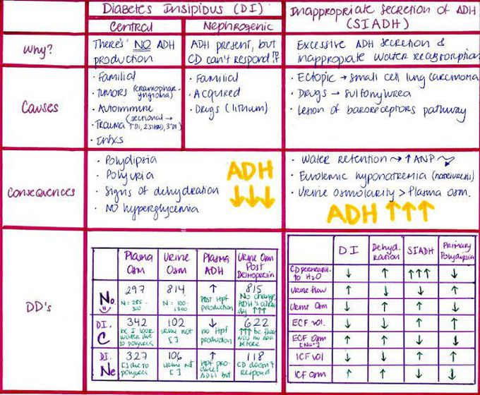 Diabetic Insipiduos and SIADH