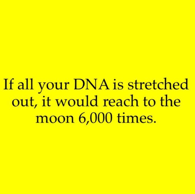 Fact of the day