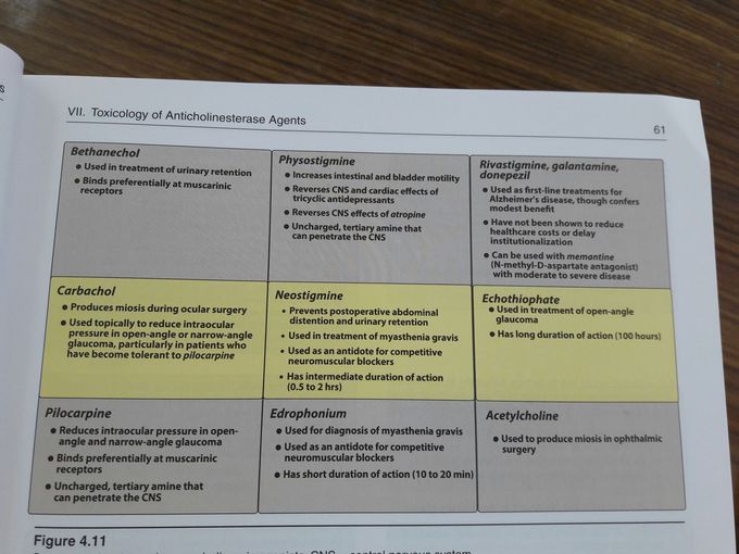 Anticholinergic drugs