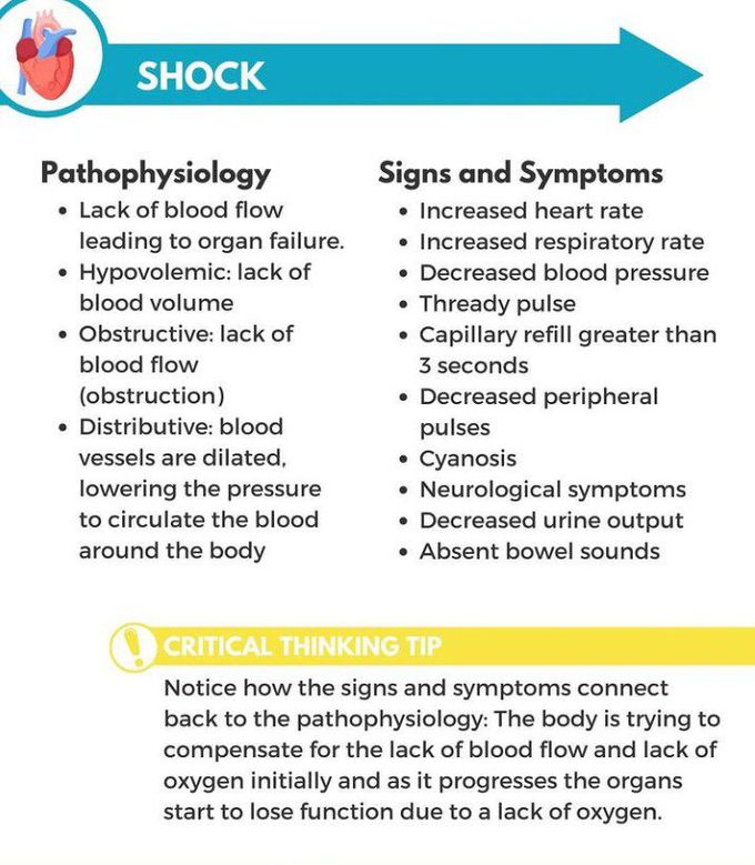 Shock - MEDizzy