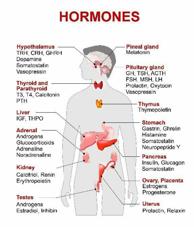 Hormones