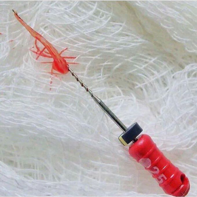 Tooth Pulp