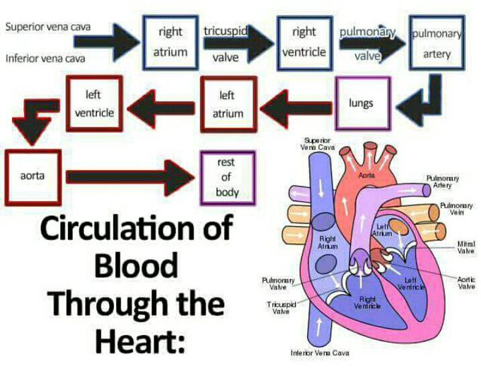 Easy to learn