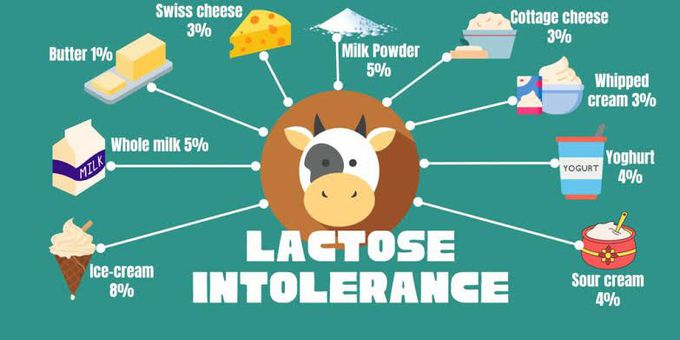 Lactose intolerant
