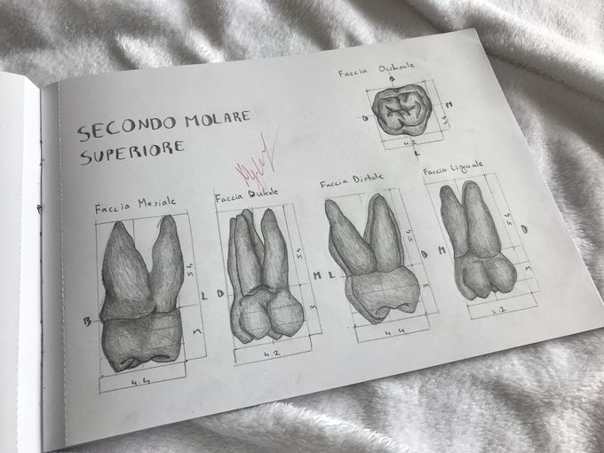 Teeth sketch