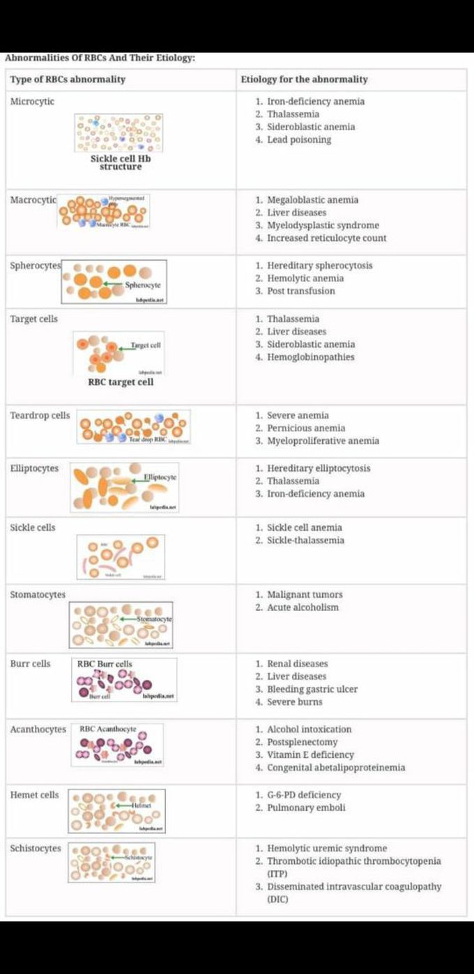 Hematology