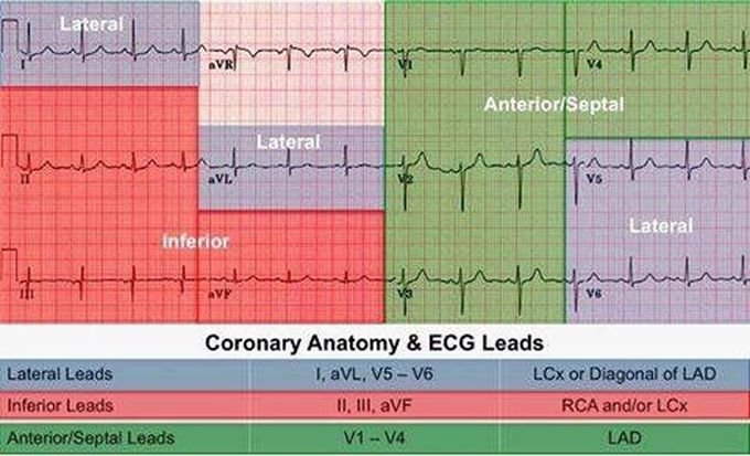 Cardiology